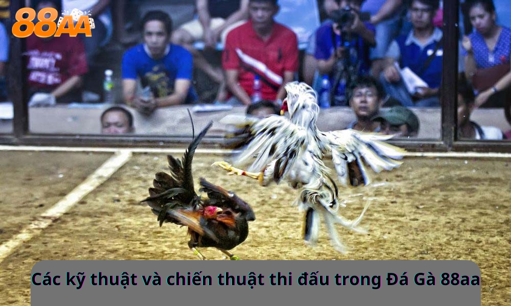 Các kỹ thuật và chiến thuật thi đấu trong Đá Gà 88aa